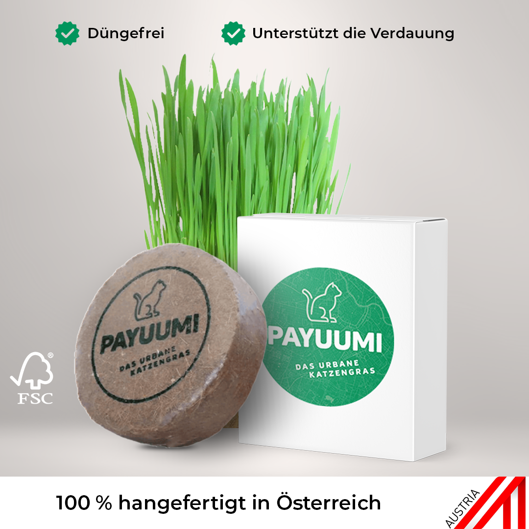 Katzengras-Pad