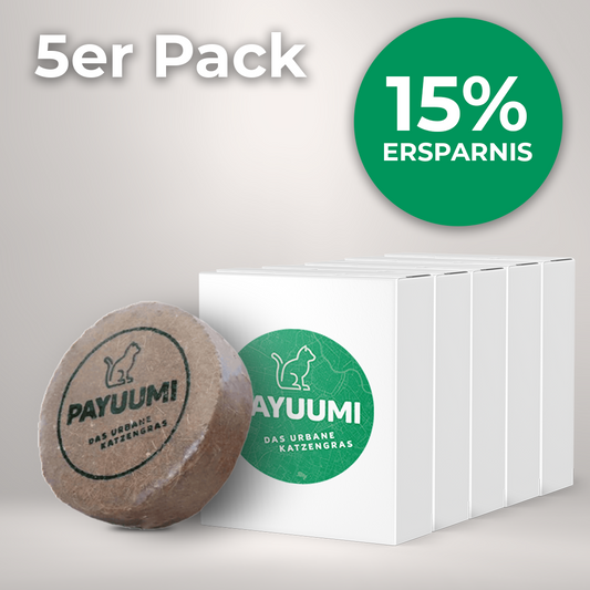 Katzengras 5er-Wohlfühlpack