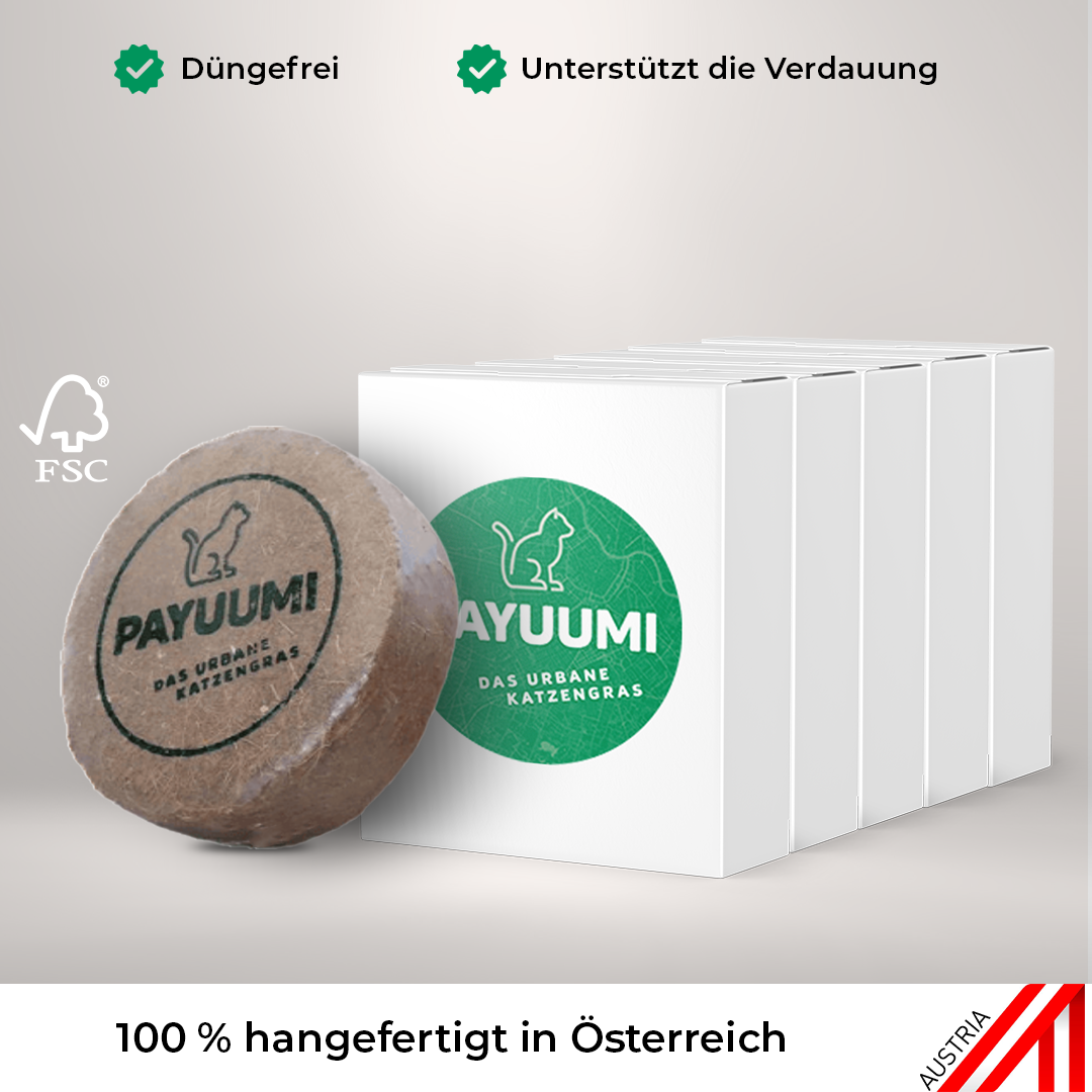 Katzengras 5er Wohlfühlpack