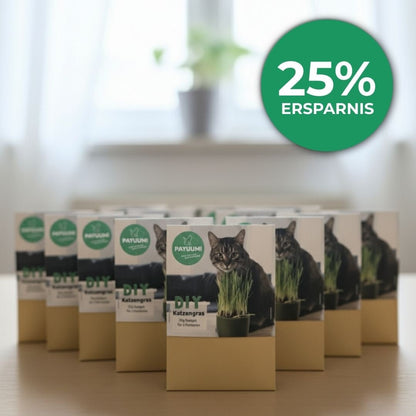 DIY Katzengras - Payuumi