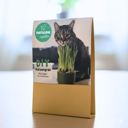 DIY Katzengras - Payuumi