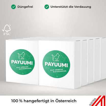 Katzengras 10er - Wohlfühlpack - Payuumi