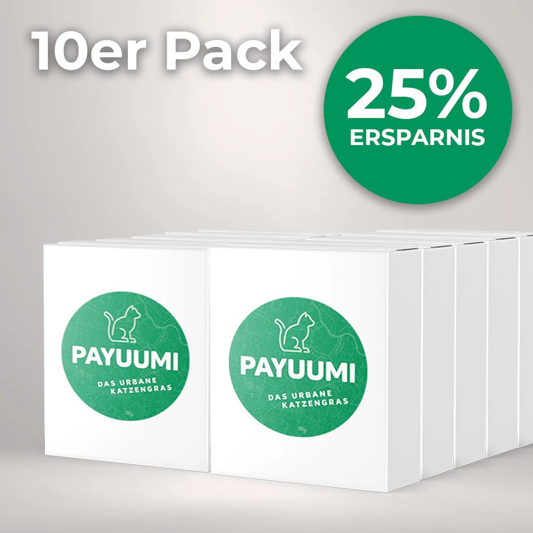 Katzengras 10er - Wohlfühlpack - Payuumi