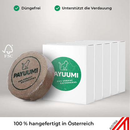 Katzengras 5er - Wohlfühlpack - Payuumi