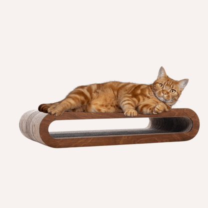 Kratzbrett PLAY - Payuumi