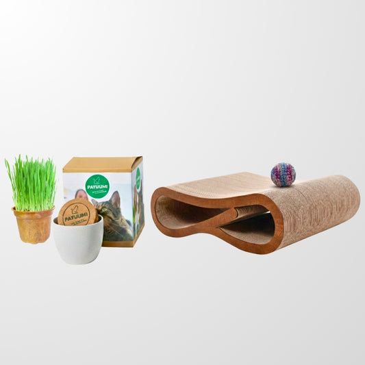 X-Mas Bundle INFINITE