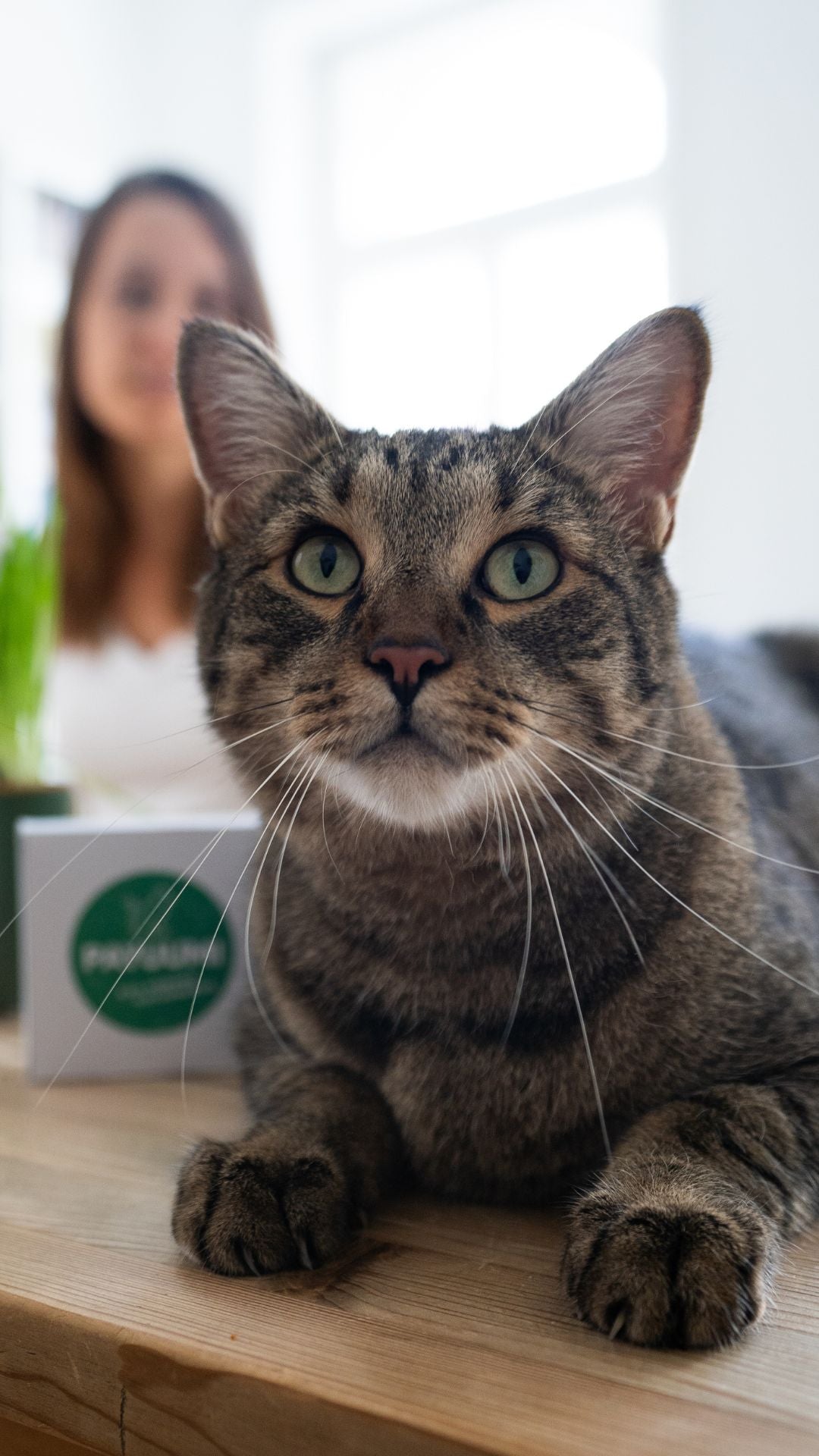 Payuumi, frisches Katzengras. Bio und regional.